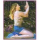Beginners Yoga with Erich Schiffman