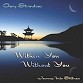 Within You Without You - Gary Stroutsos